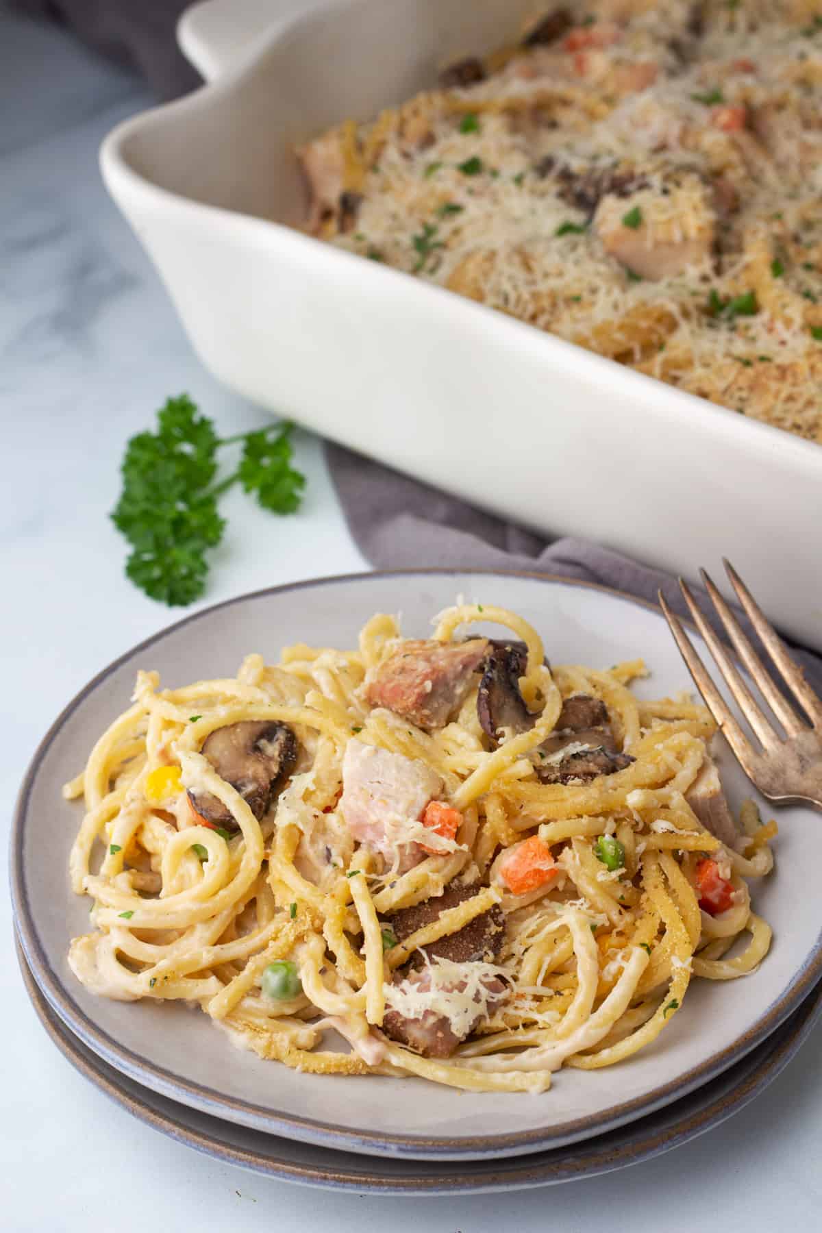 A plate of pasta with Turkey Tetrazzini on it