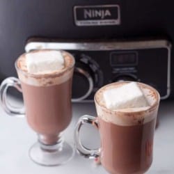 slow cooker hot chocolate