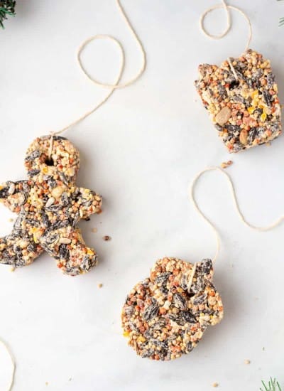 bird seed ornaments