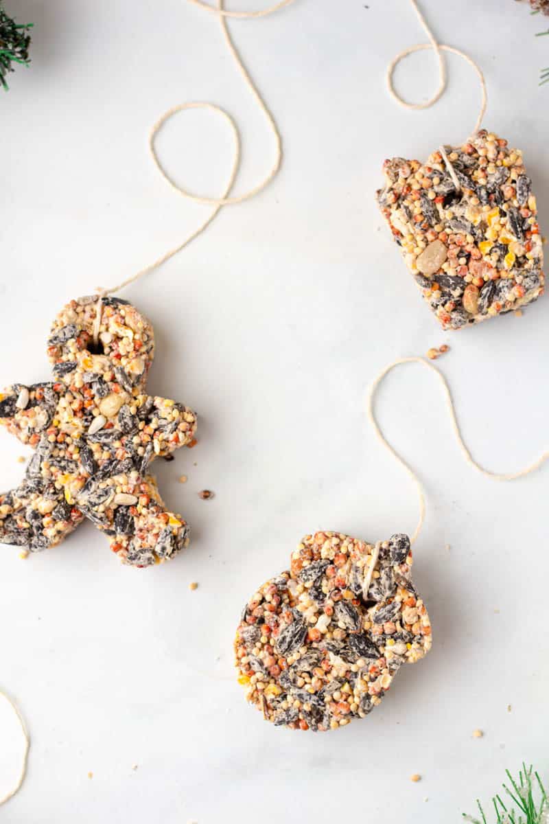 bird seed ornaments