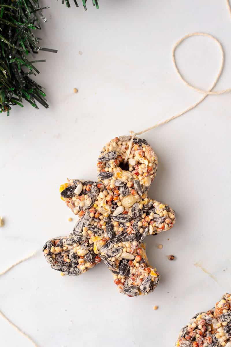 Bird seed ornaments