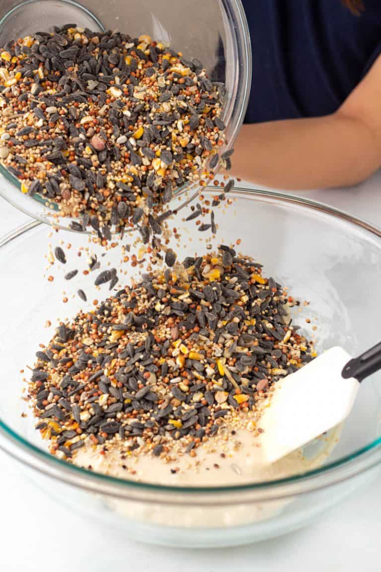 How to Make Bird Seed Ornaments • MidgetMomma