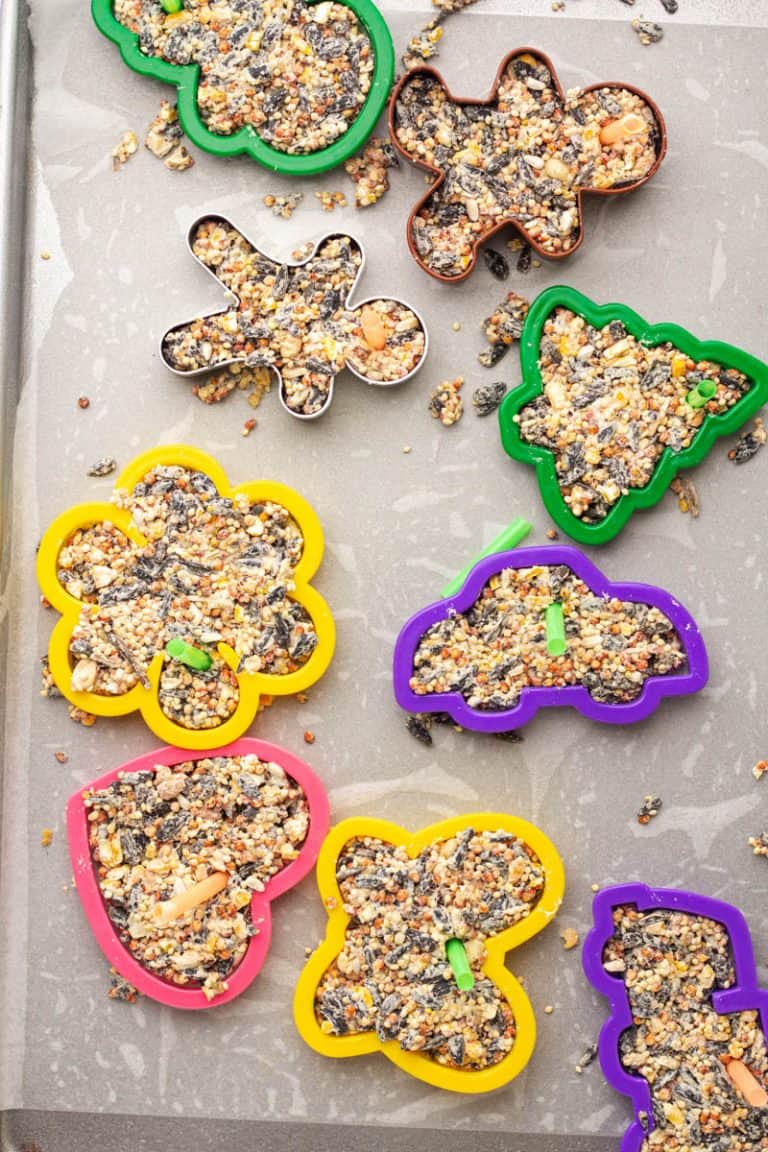 How to Make Bird Seed Ornaments • MidgetMomma