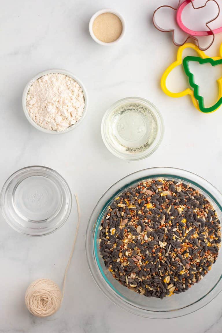 How to Make Bird Seed Ornaments • MidgetMomma