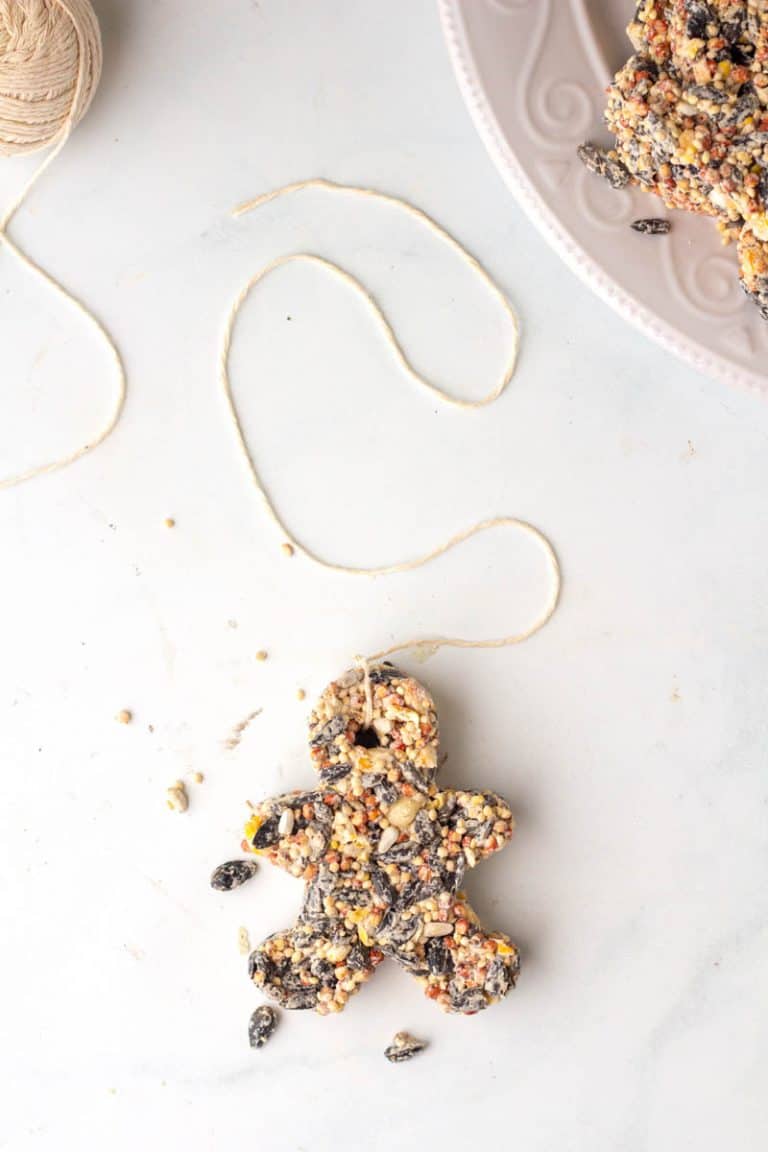 How to Make Bird Seed Ornaments • MidgetMomma