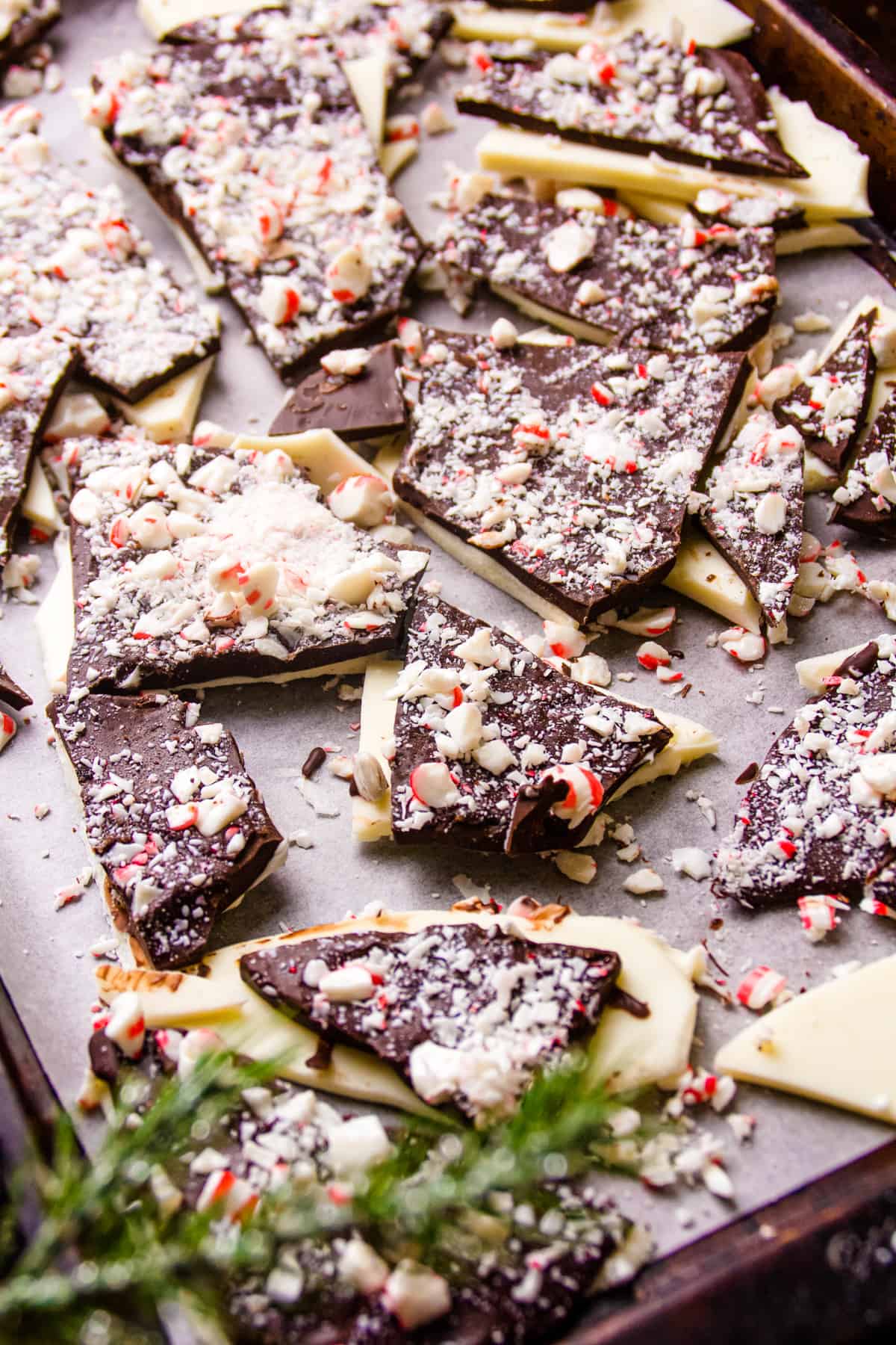 overhead photo of a tray of chocolate peppermint bark