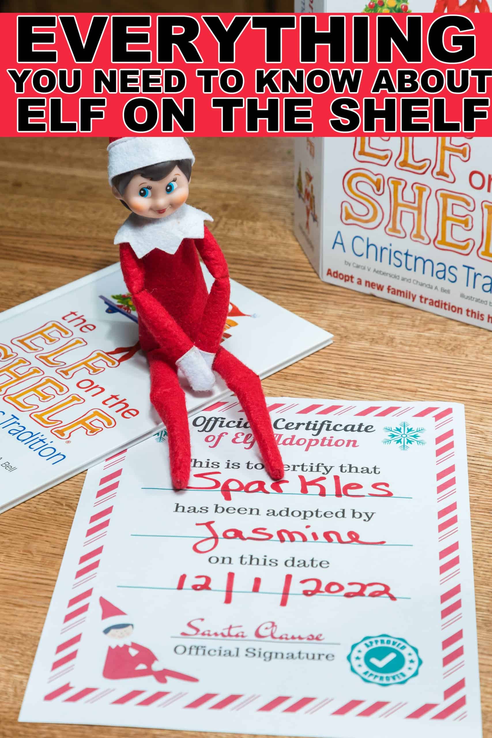 The Elf on the Shelf: A Christmas Tradition (Brown-eyed Boy Scout Elf) 