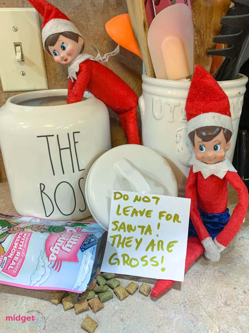 Elf on the shelf last minute ideas