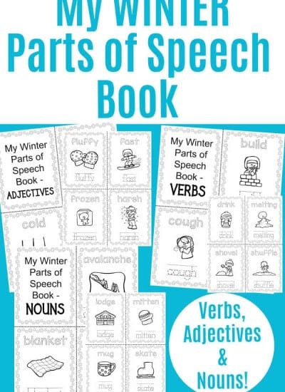 Winter Themed Parts Of Speech Worksheets Printable