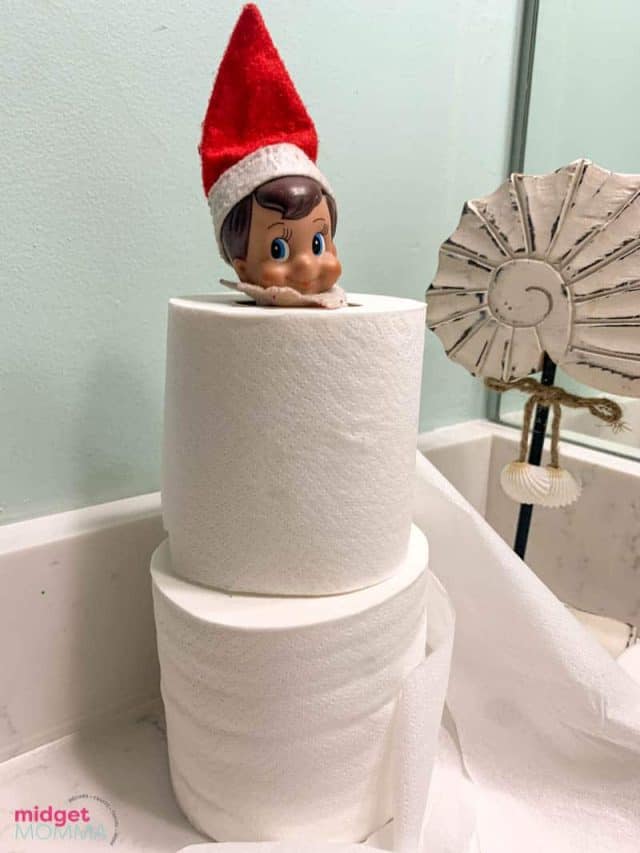 Elf on the Shelf Guide