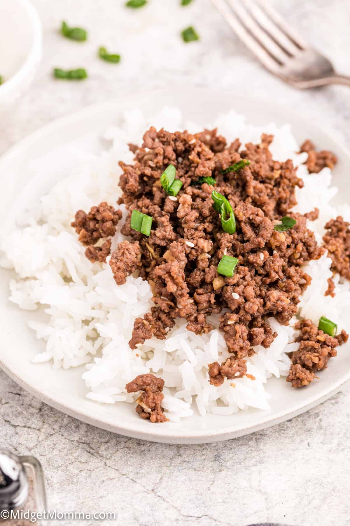 Close up photo of Korean Ground Beef and Rice Bowls Recipe