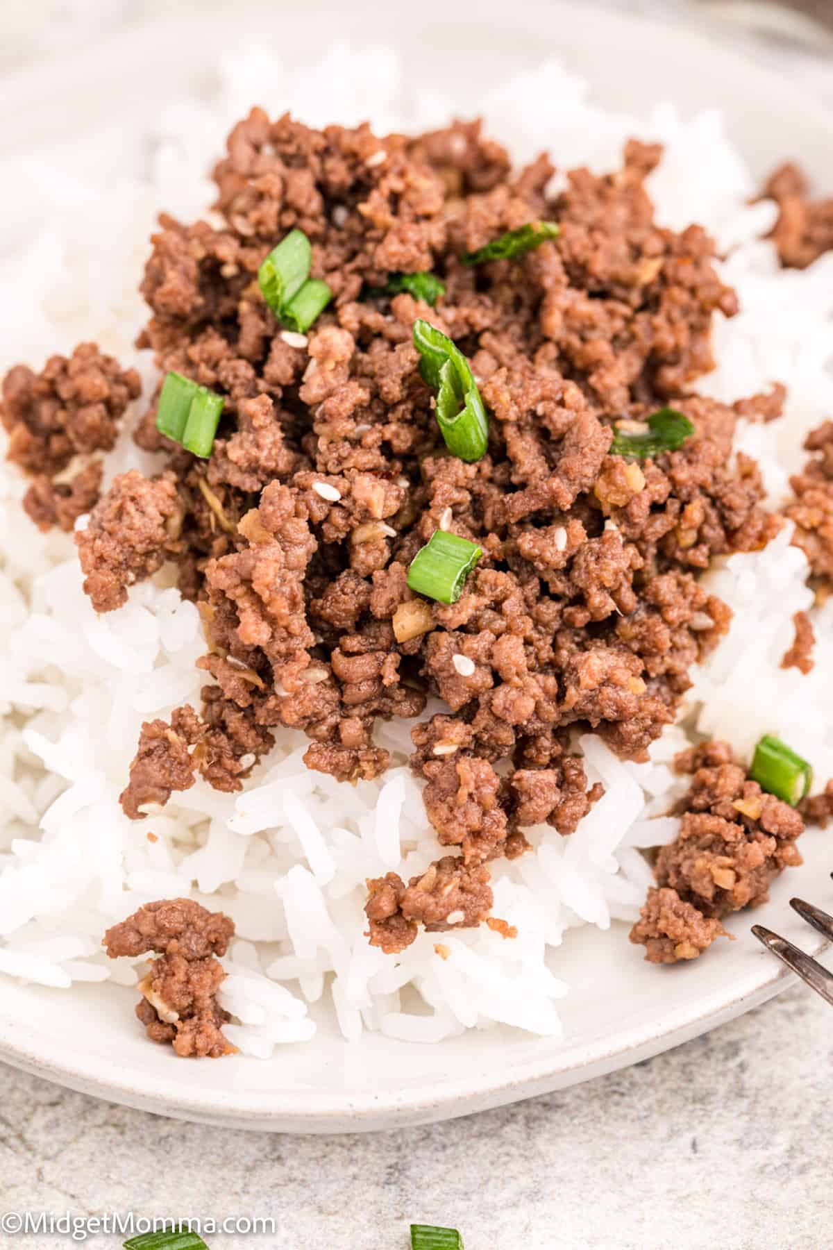 Closeup Korean Ground Beef and Rice Bowls Recipe