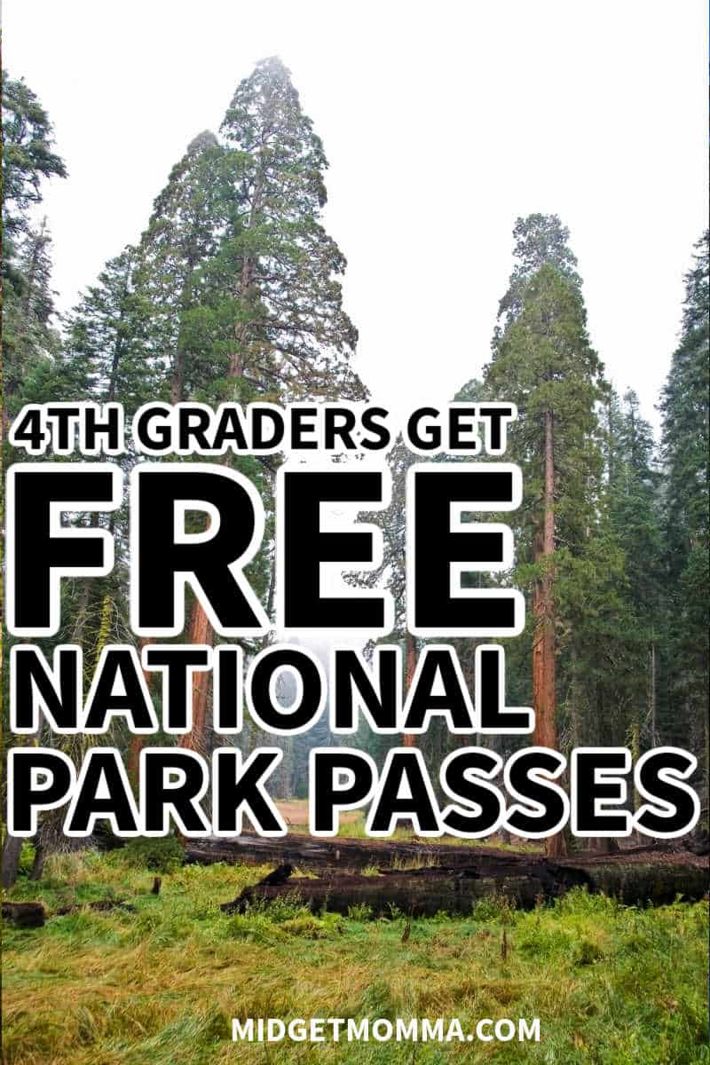 4th grader free national park pass