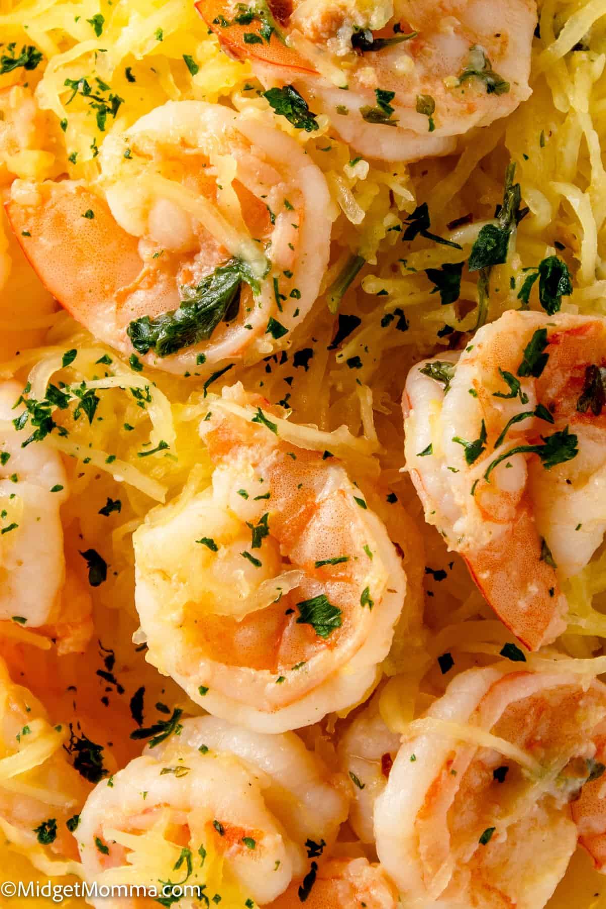 close up overhead photo of Spaghetti Squash Shrimp Scampi 