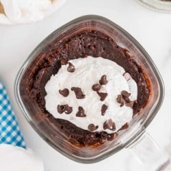 overhead photo of Rich Chocolate Microwave Mug Brownie