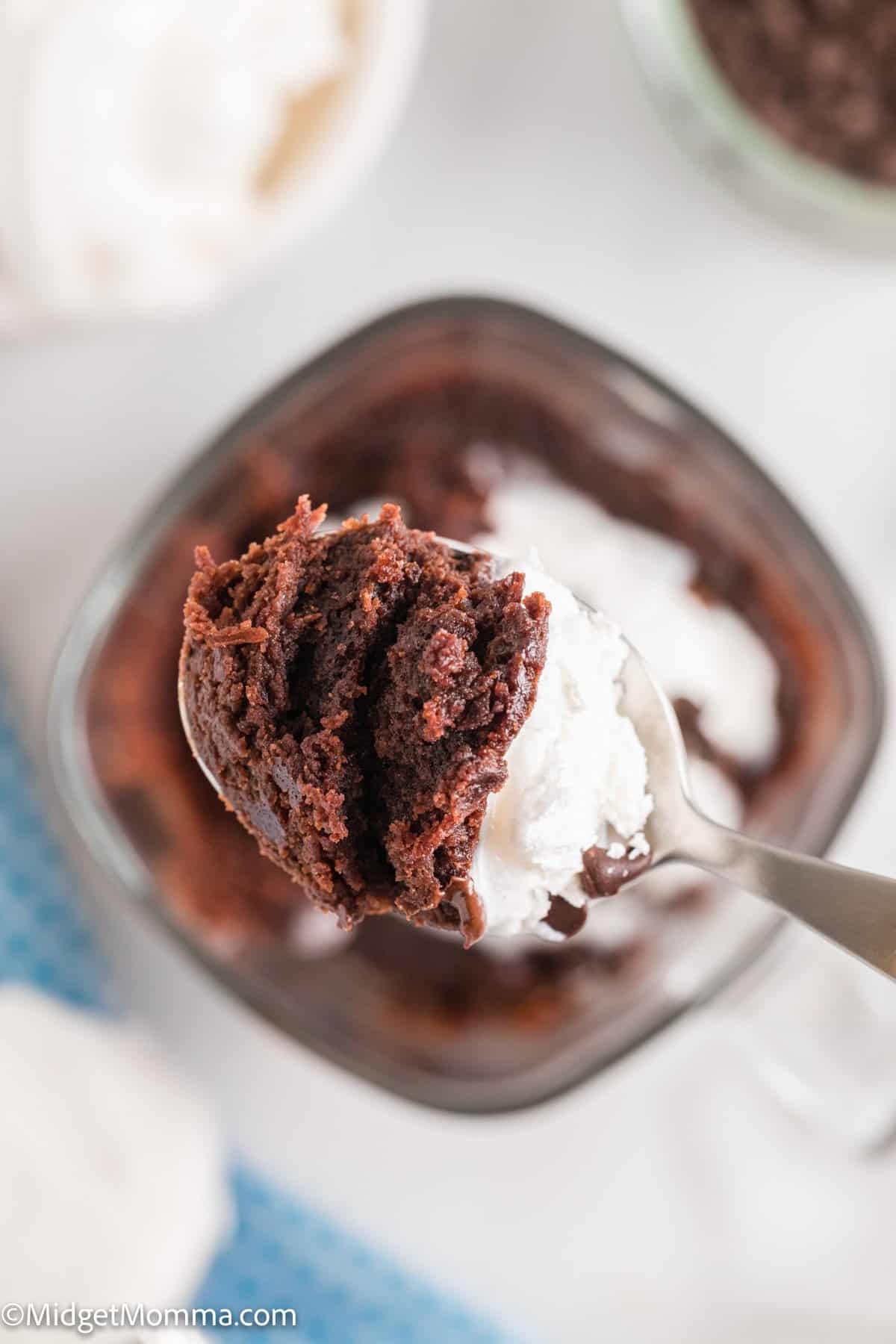 spoonful of Rich Chocolate Microwave Mug Brownie overhead photo