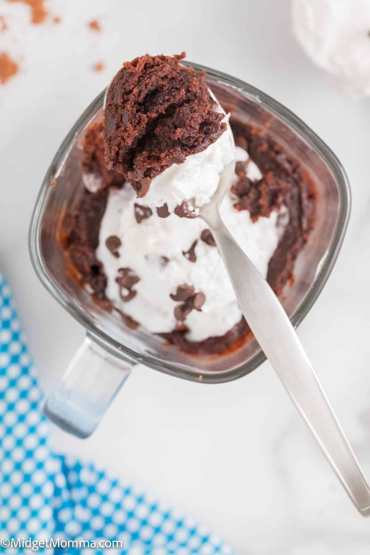 overhead photo of Rich Chocolate Microwave Mug Brownie