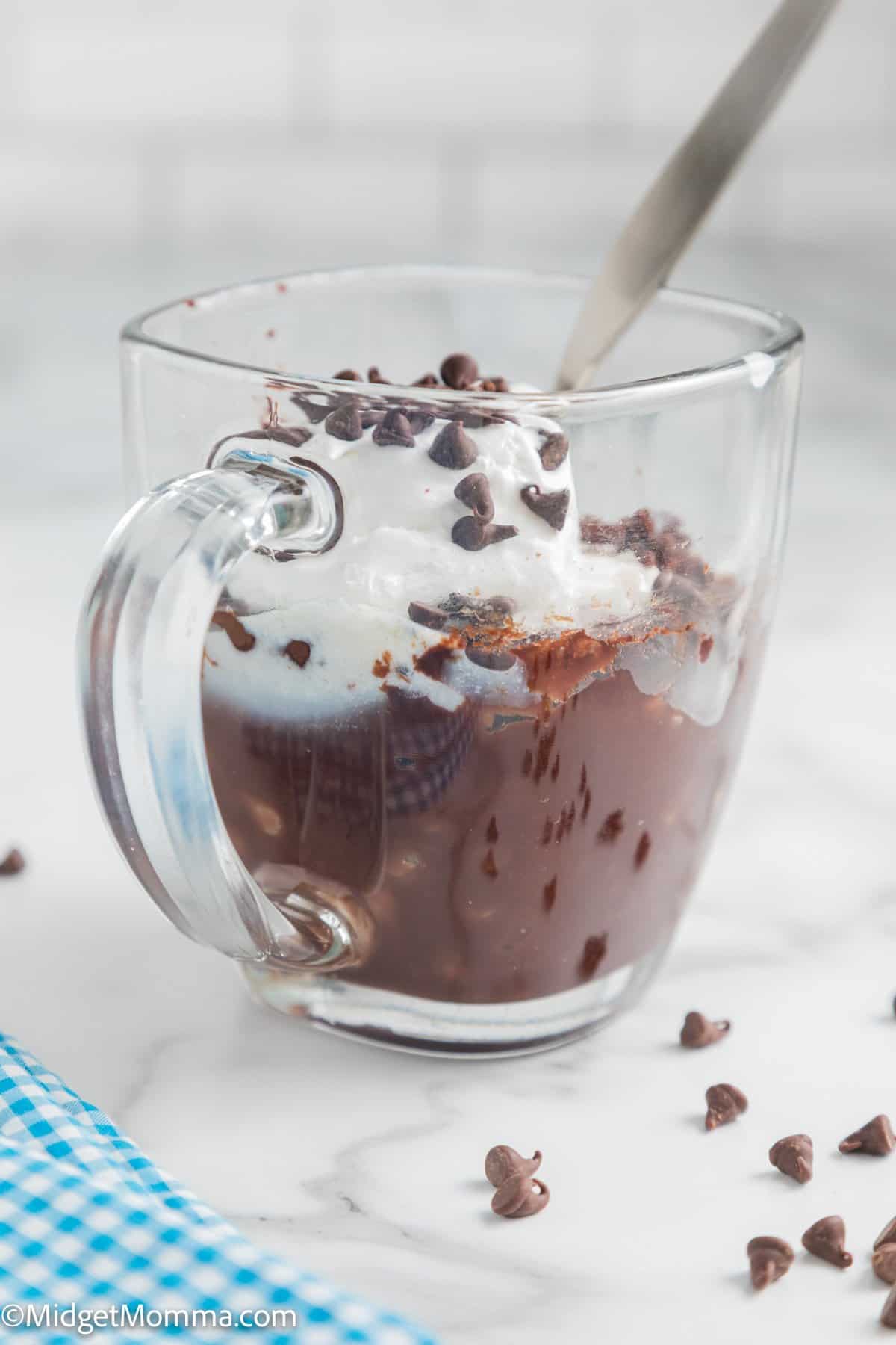 Rich Chocolate Microwave Mug Brownie-20