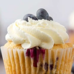 Blueberry Cupcakes with Cream Cheese Frosting