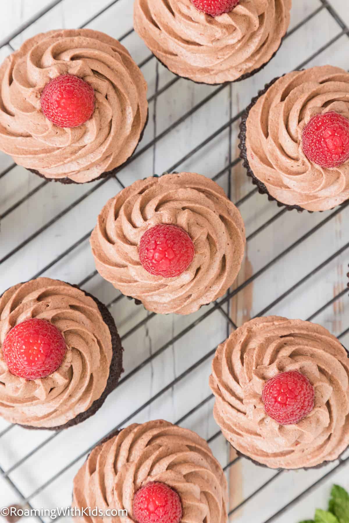 overhead photo of Chocolate Raspberry Cupcakes Recipe