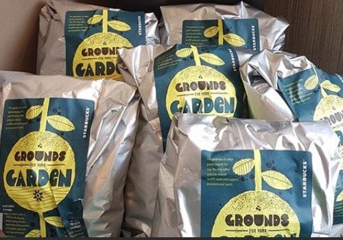 Free Starbucks Coffee Grounds for Gardeners