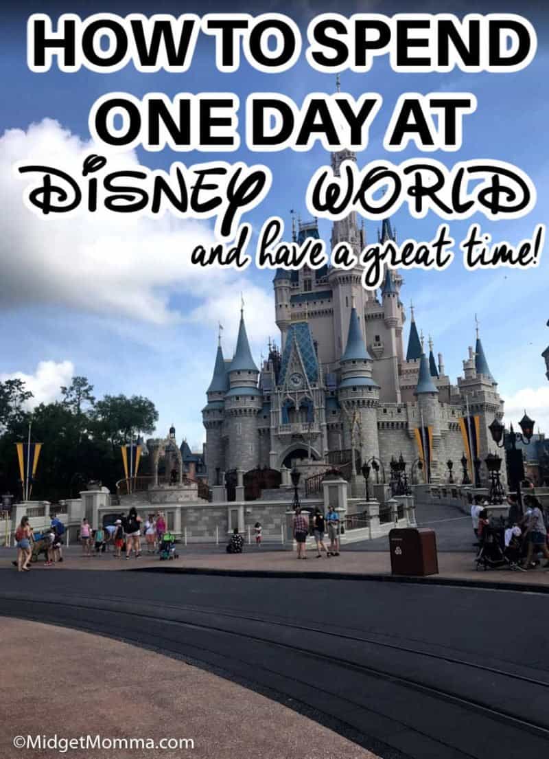 One Day at Disney World