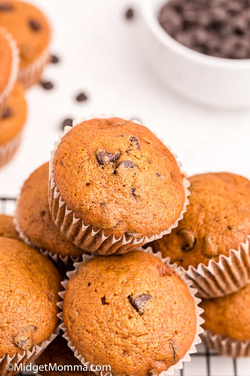 pumpkin chocolate chip muffins