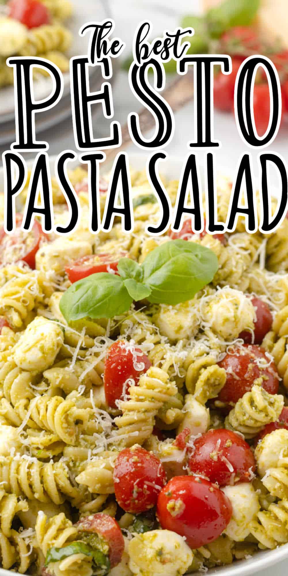 Pesto Pasta Salad Recipe With Tomatoes and Mozzarella Cheese Balls