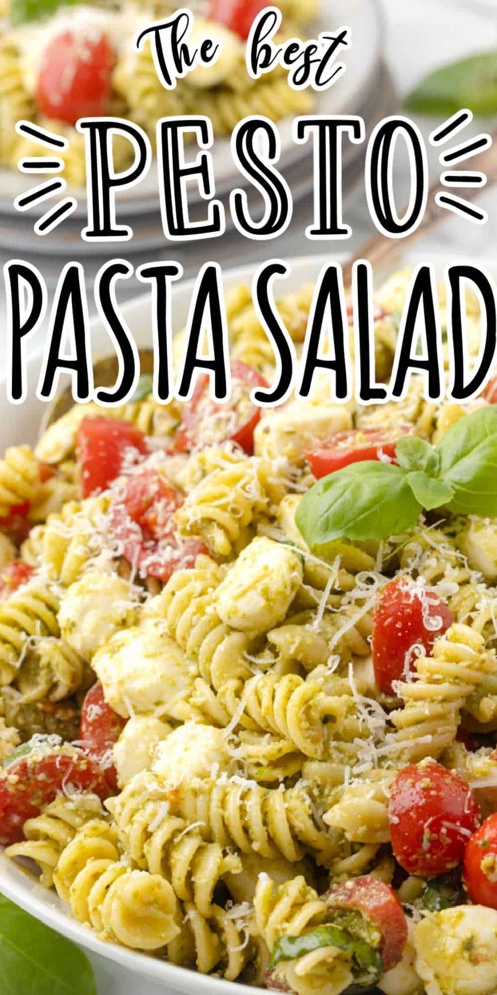 Pesto Pasta Salad Recipe With Tomatoes and Mozzarella Cheese Balls