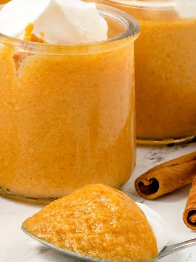 Pumpkin Pudding Recipe • MidgetMomma
