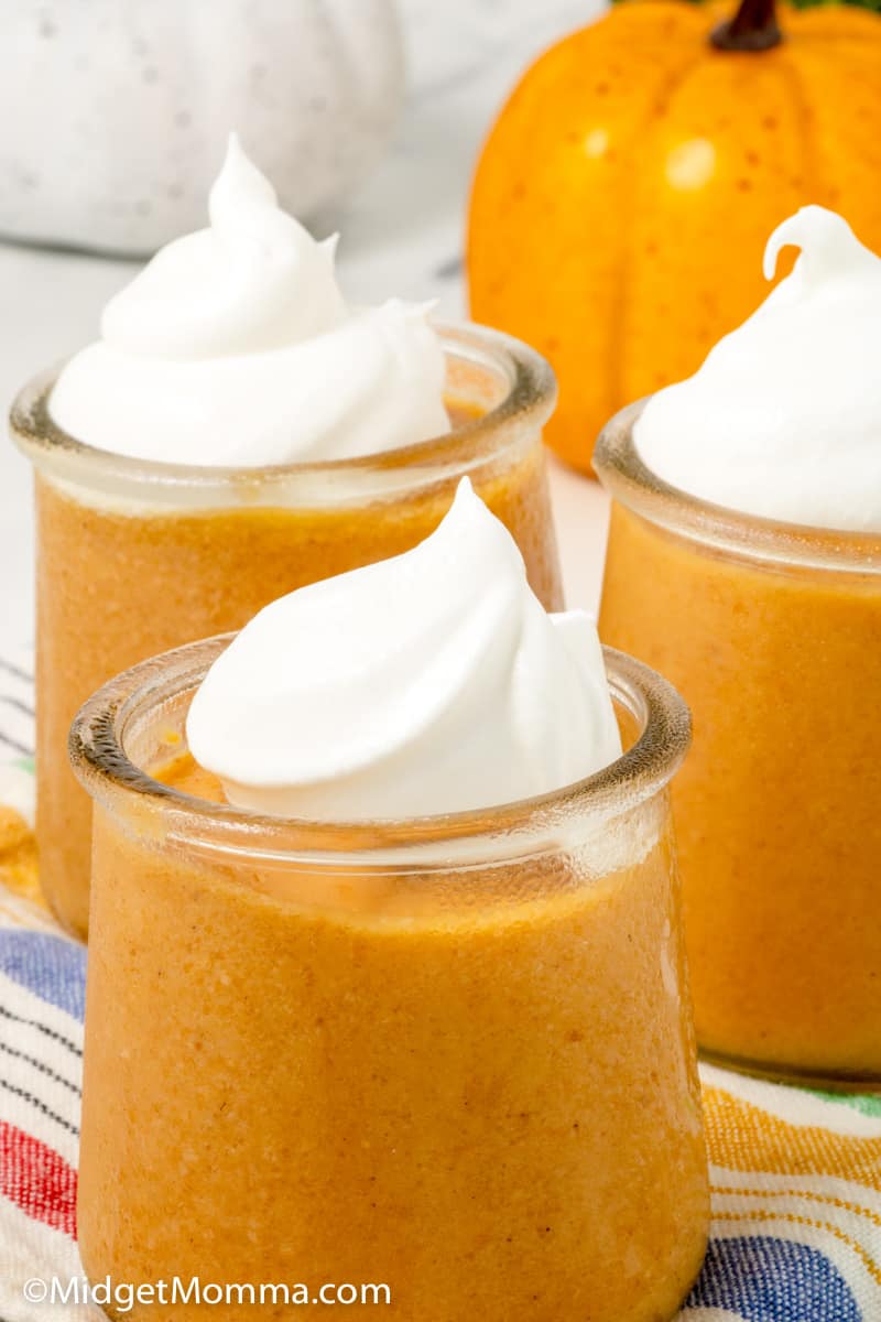 closeup photo homemade pumpkin pudding recipe