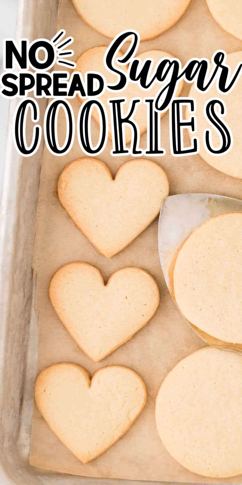 Homemade Sugar Cookies No Spread Sugar Cookie Dough