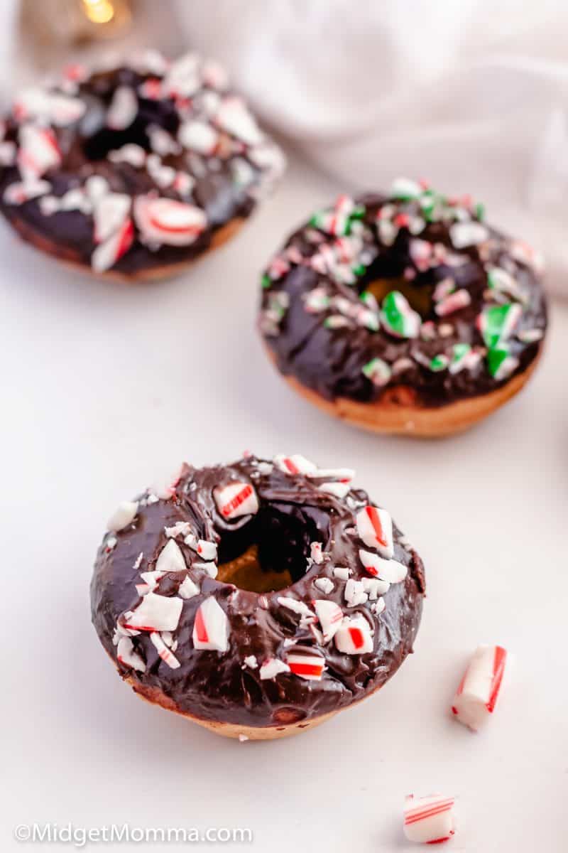 Chocolate Frosted Baked Cake Donuts