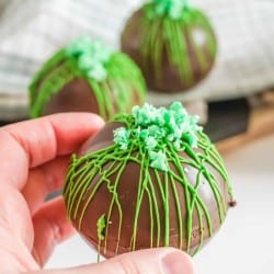 mint hot chocolate bombs