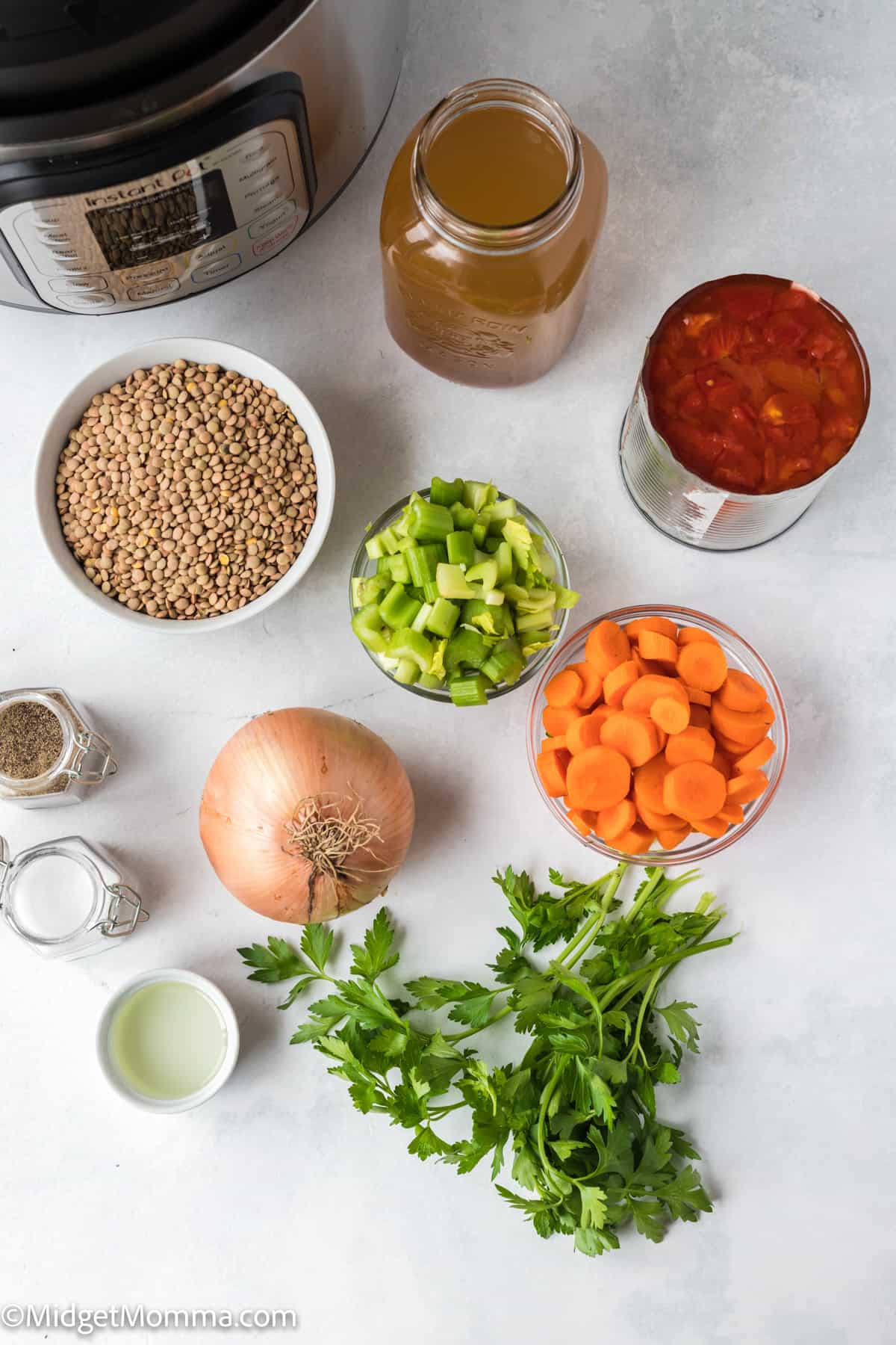 Instant Pot lentil soup recipe ingredients