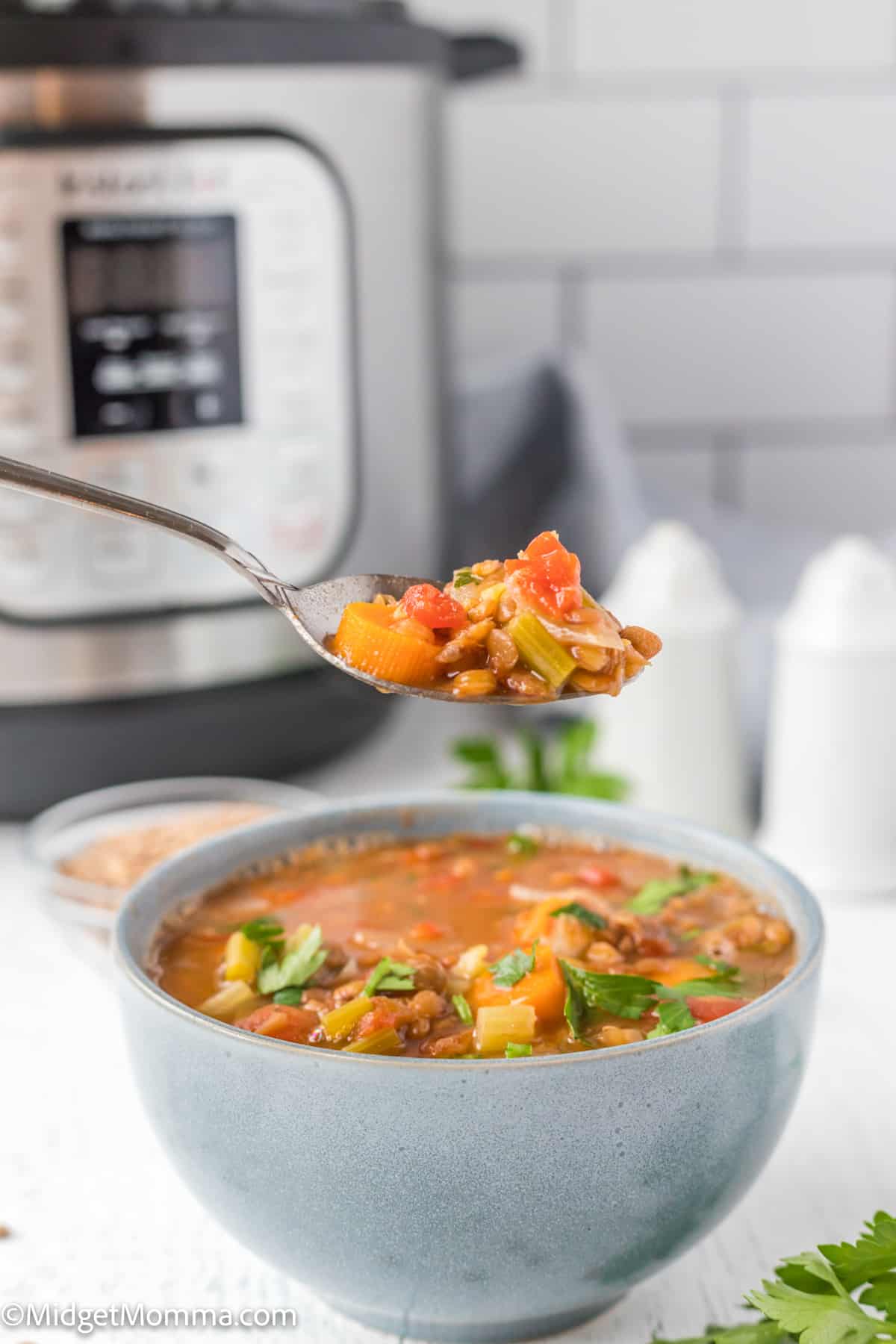 Instant Pot lentil soup recipe