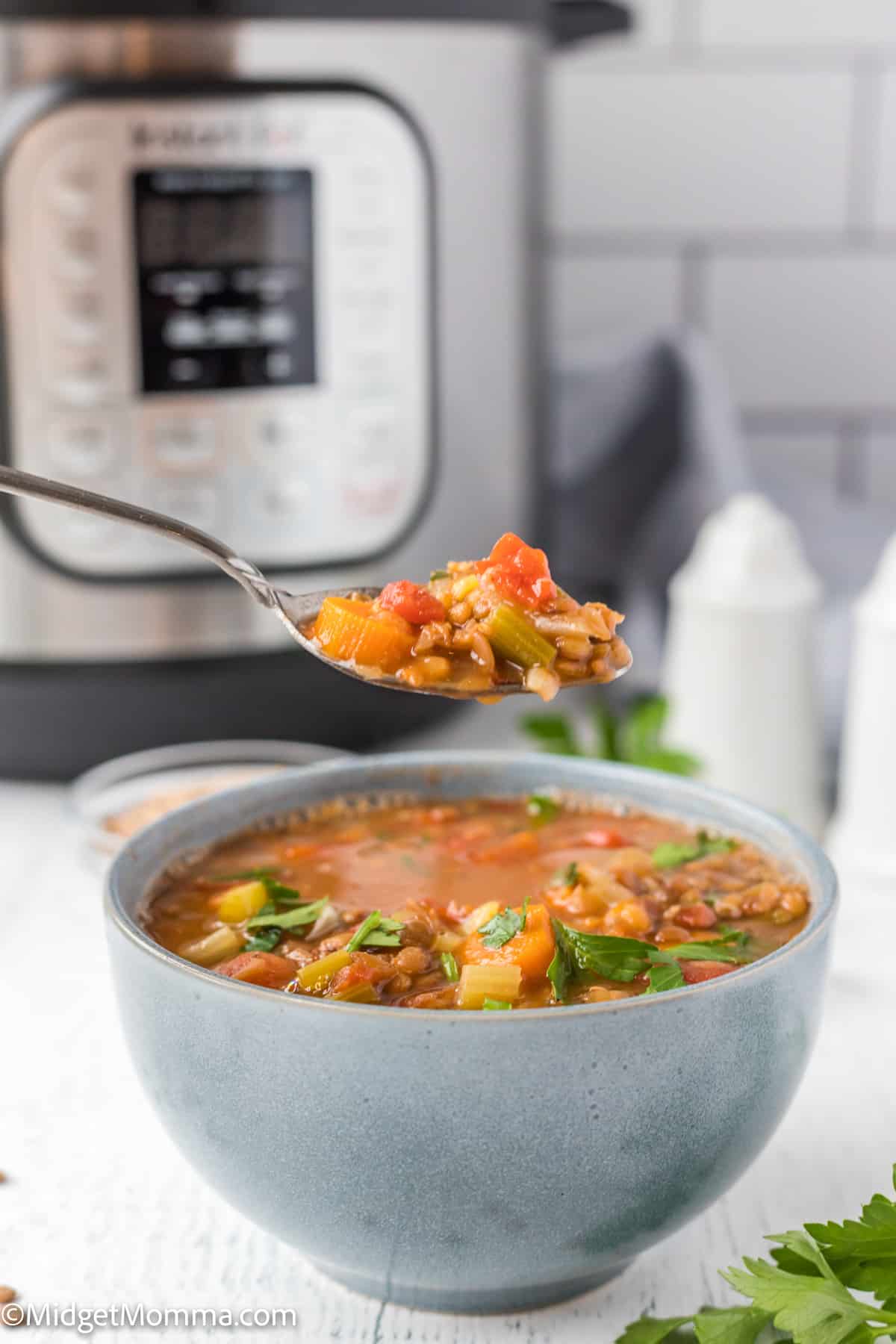 Instant Pot lentil soup recipe