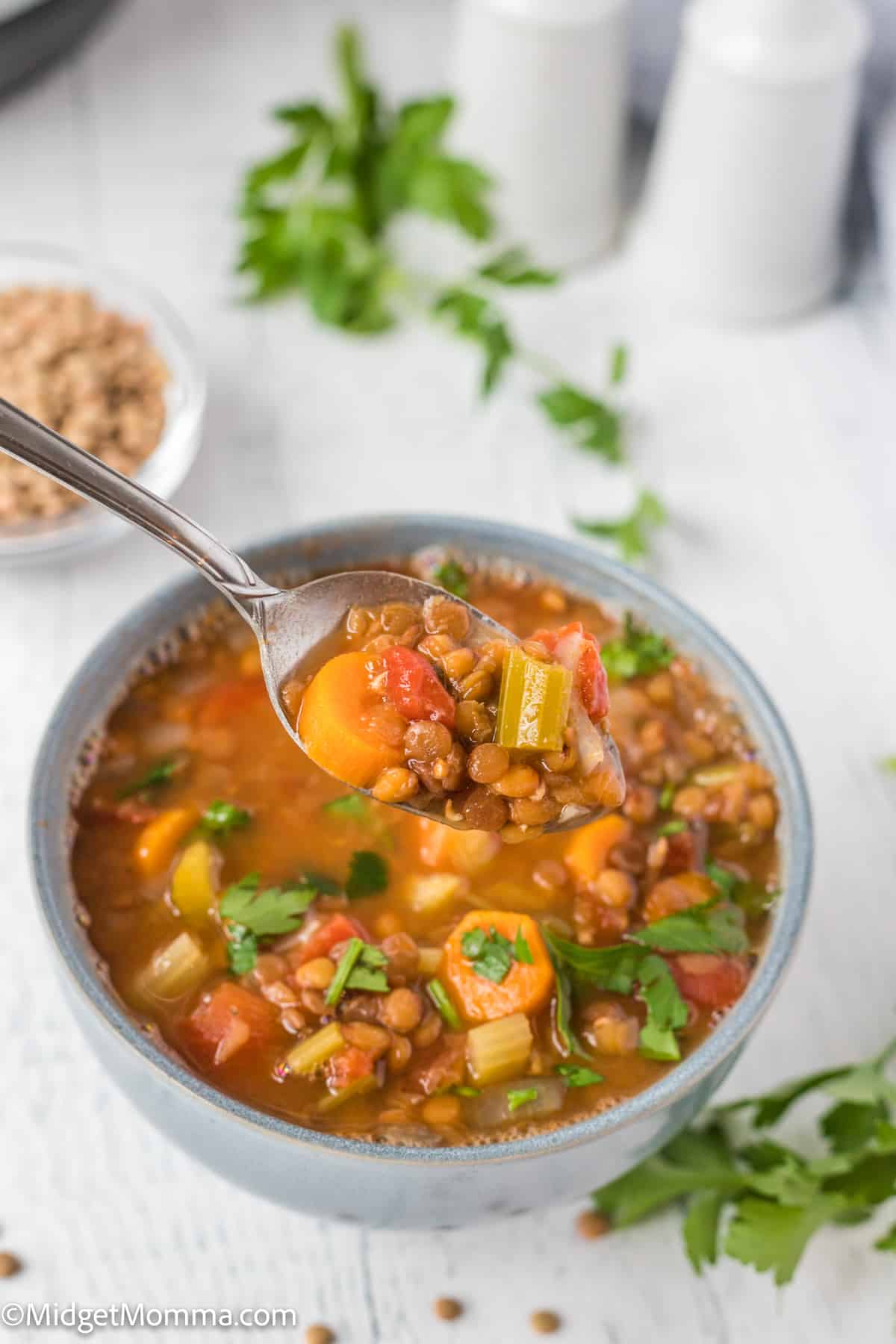 Instant Pot lentil soup recipe