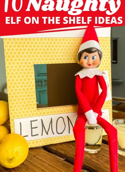 NAUGHTY ELF ON THE SHELF IDEAS