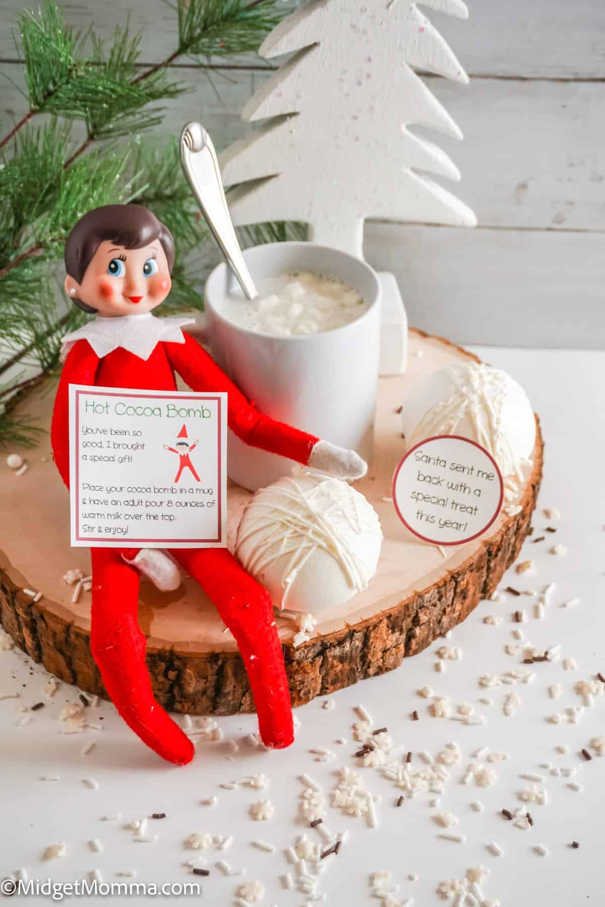 Snowball Hot Cocoa Bombs + Printable Instruction Card & Tag!