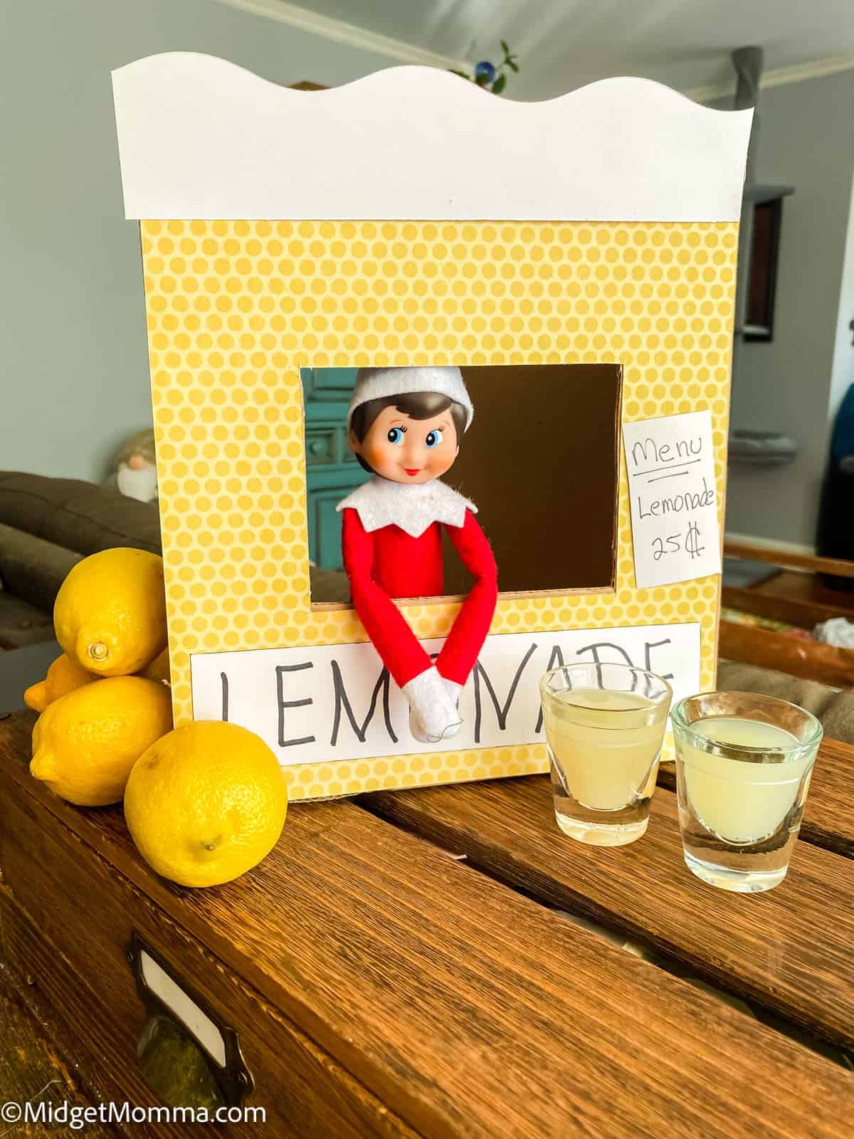 elf lemonade stand