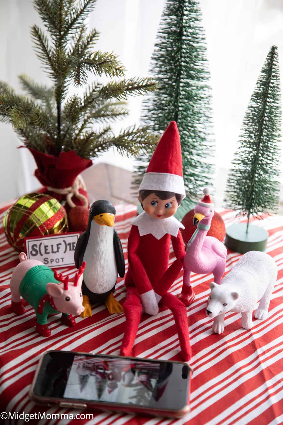 Elf on the Shelf