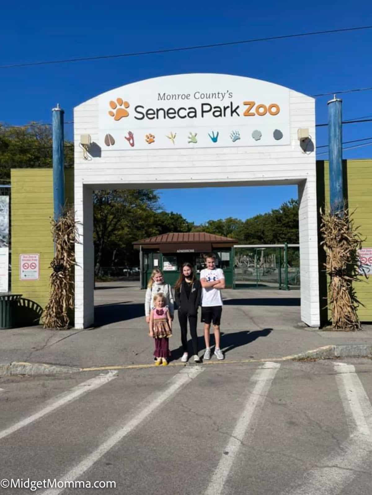 Things to do in Rochester New York with kids - Seneca park Zoo 