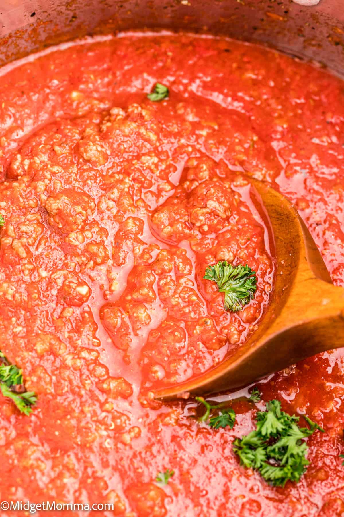close up photo of Spaghetti Meat Sauce Recipe in a stockpot