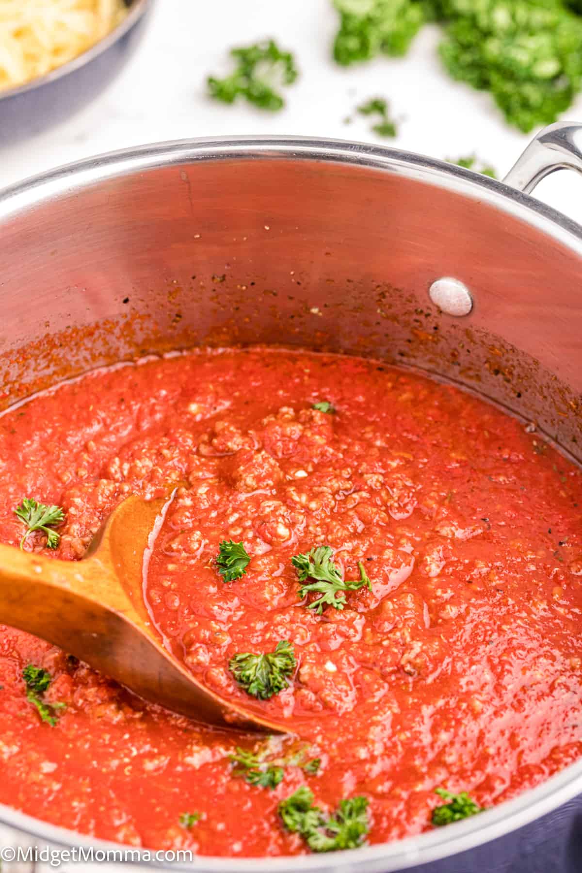 pot of Spaghetti Meat Sauce Recipe