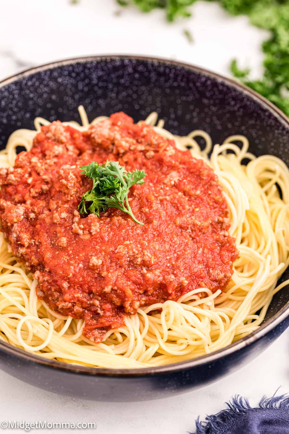 Spaghetti Meat Sauce Recipe