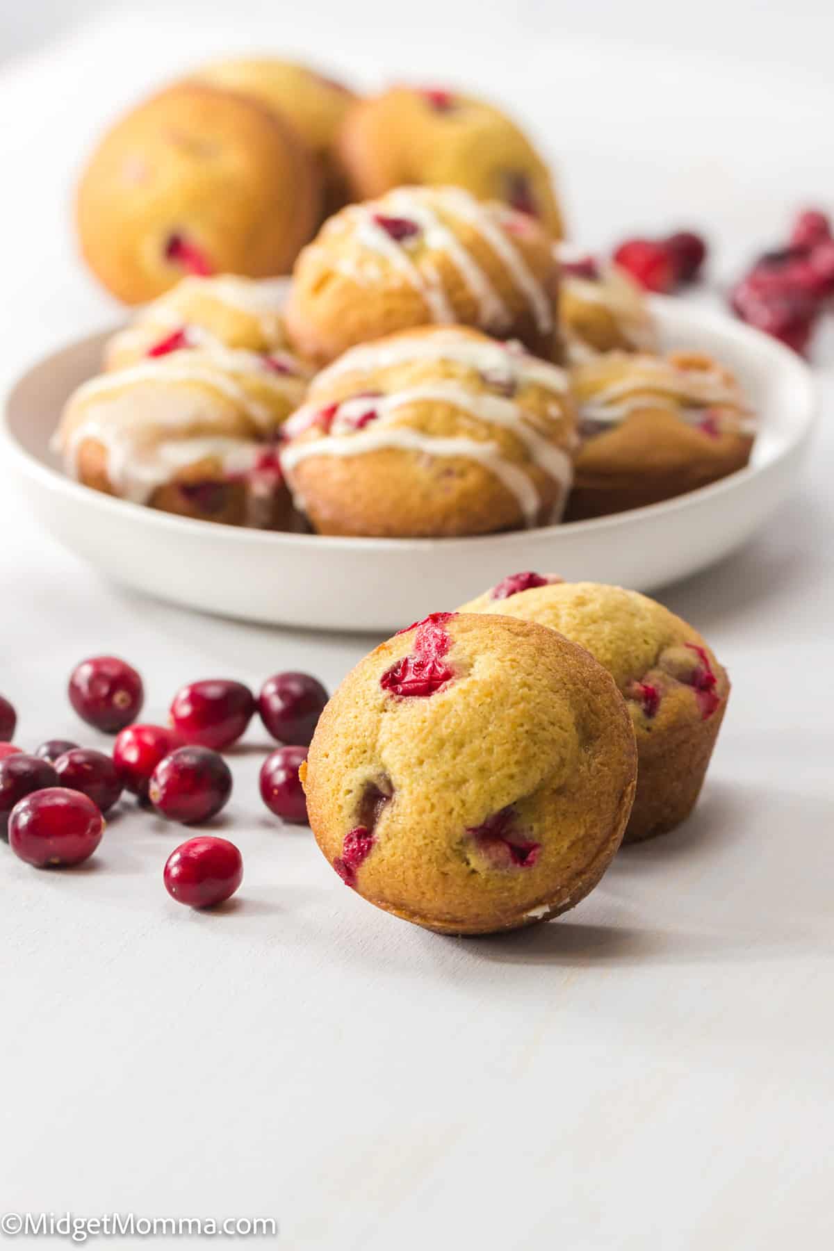 Cranberry Orange Muffin