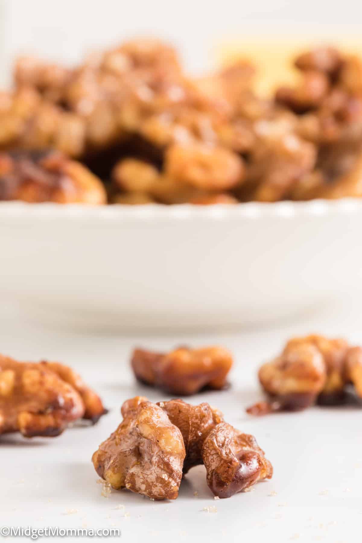close up photo of nut