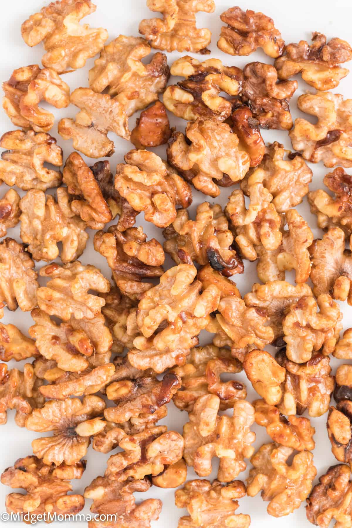 Candied Walnuts on a baking sheet