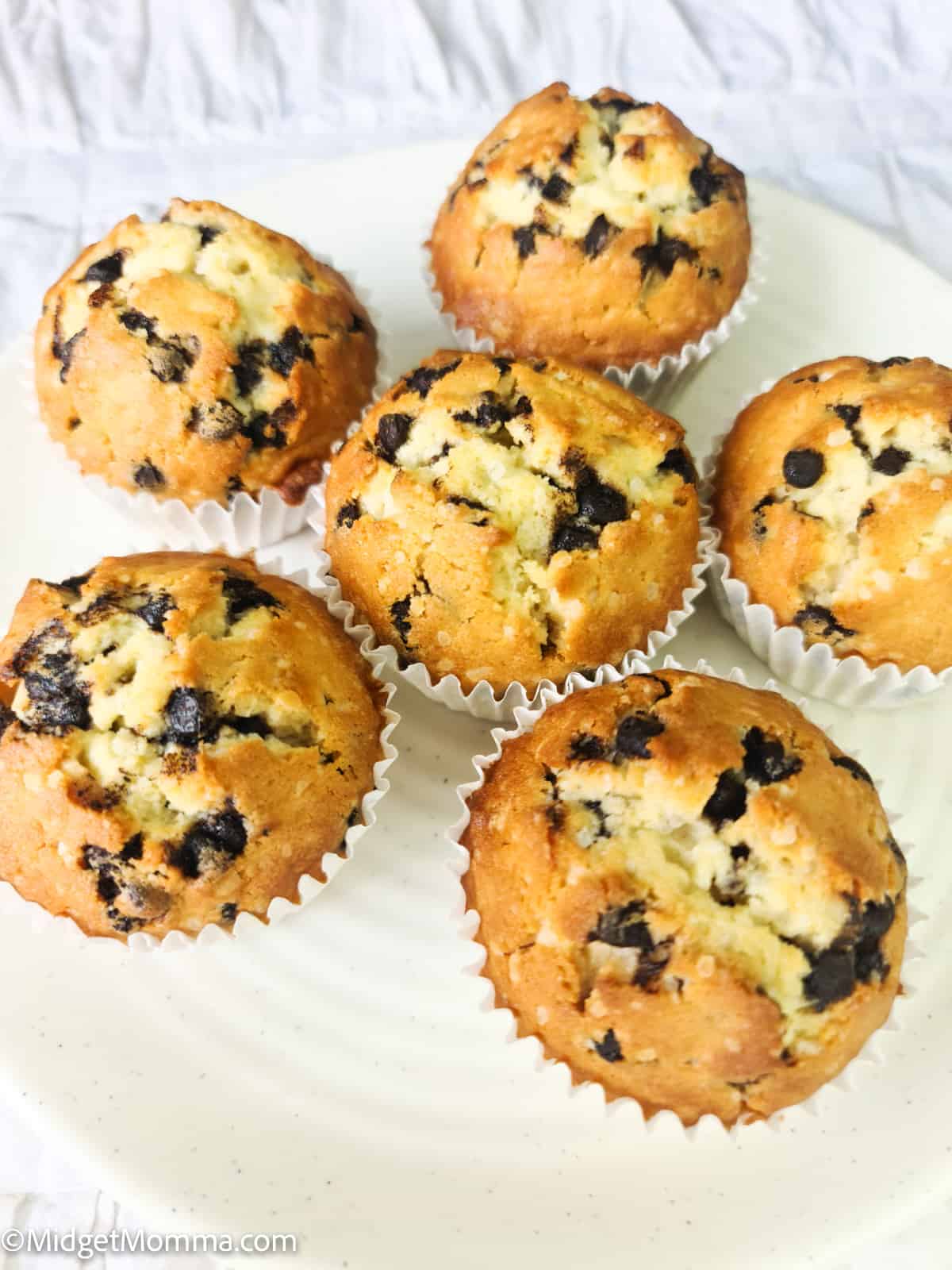 overhead photo of easy chocolate chip muffins